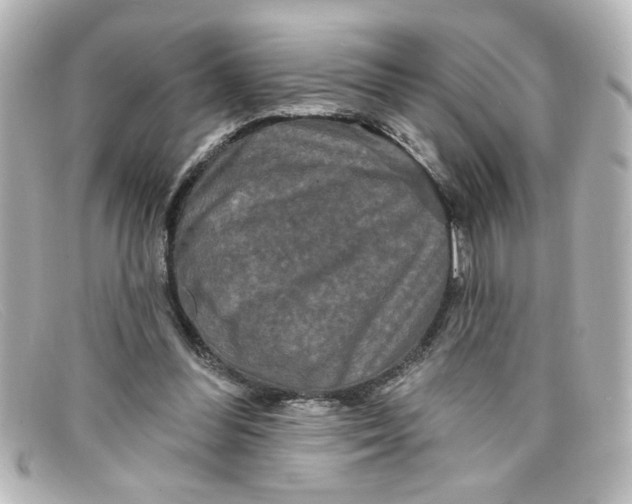 X0000098130300200805081004