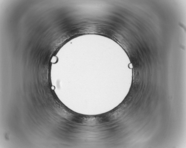 X0000098130301200805081004