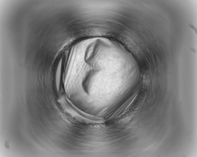 X0000098130304200805081004