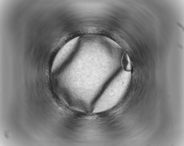 X0000098130306200805081004