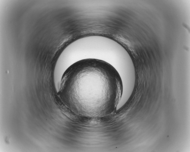 X0000098130308200805081004