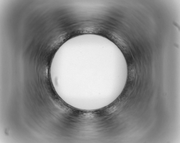 X0000098130310200805081004