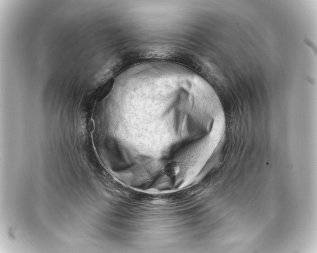 X0000098130312200805081004