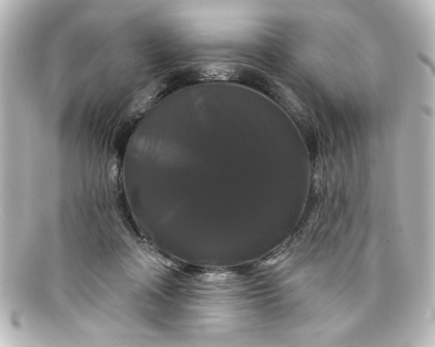 X0000098130314200805081004