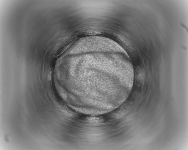 X0000098130315200805081004
