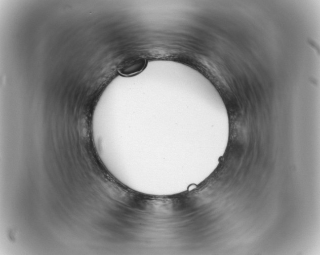 X0000098130317200805081004