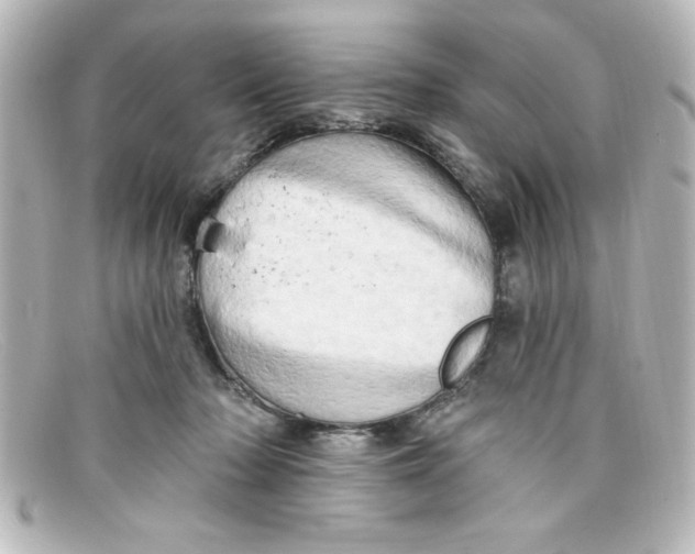 X0000098130318200805081004
