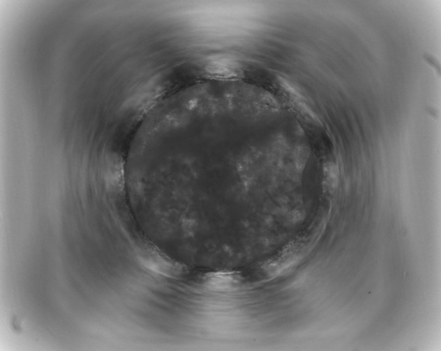 X0000098130320200805081004