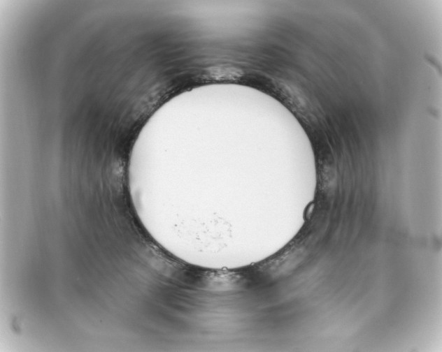 X0000098130321200805081004