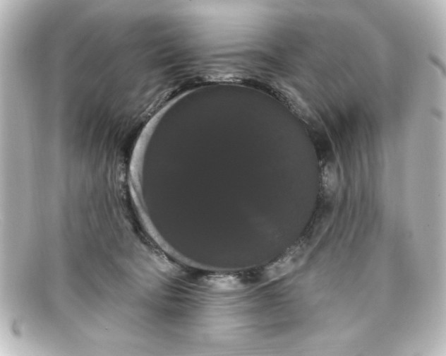 X0000098130322200805081004