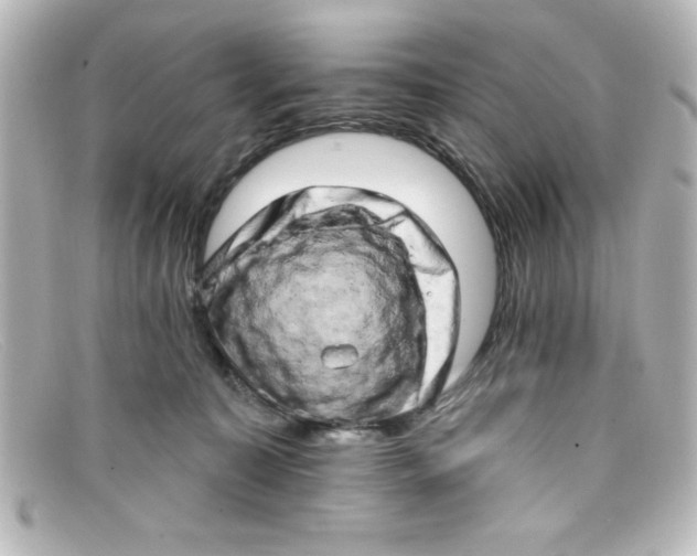 X0000098130323200805081004