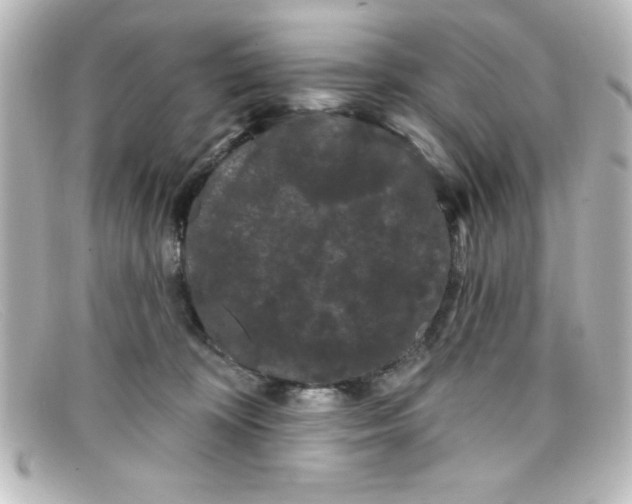 X0000098130324200805081004
