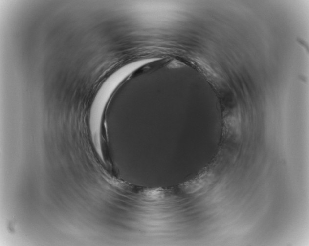 X0000098130325200805081004