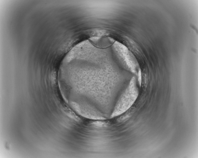 X0000098130326200805081004