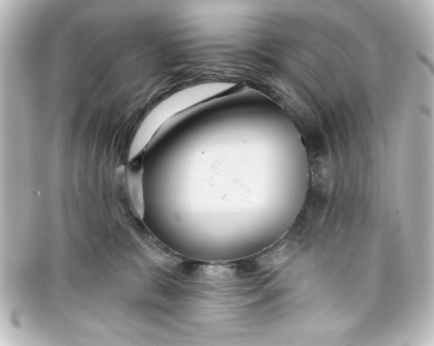 X0000098130327200805081004