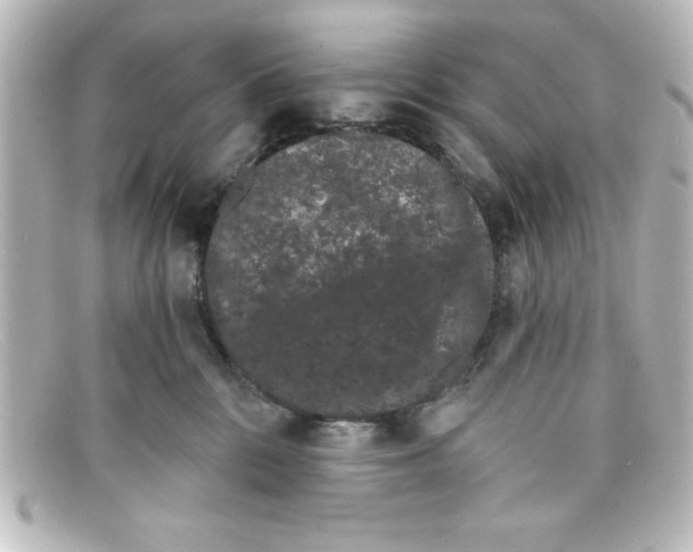 X0000098130328200805081004