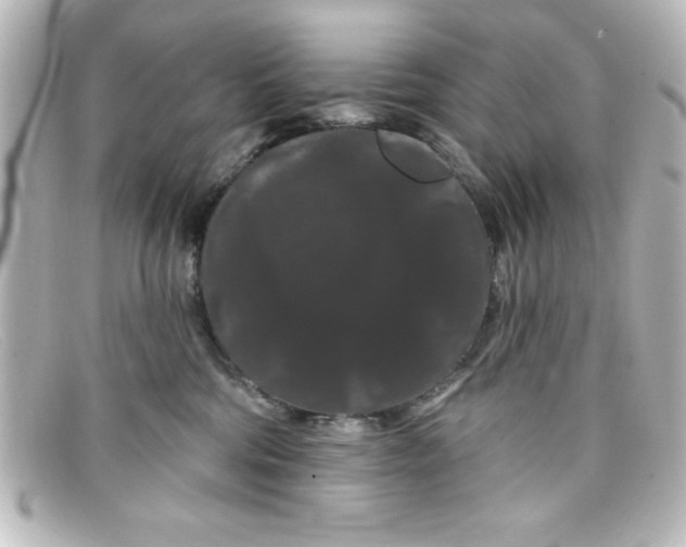 X0000098130330200805081004