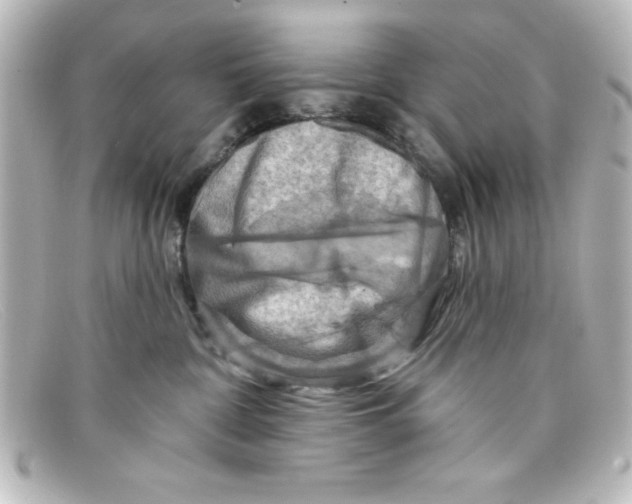 X0000098130332200805081004