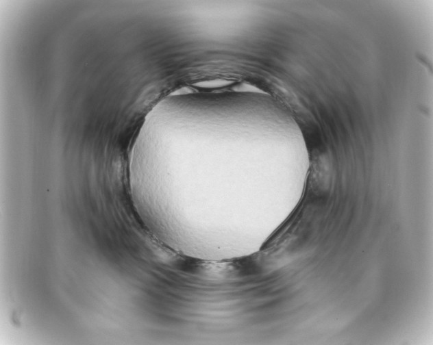 X0000098130333200805081004