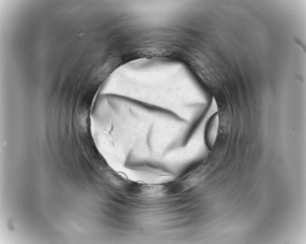 X0000098130334200805081004