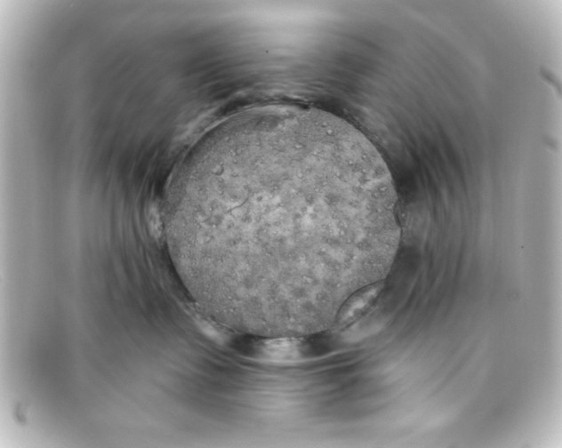 X0000098130335200805081004