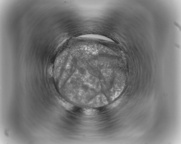 X0000098130336200805081004