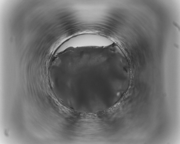 X0000098130337200805081003