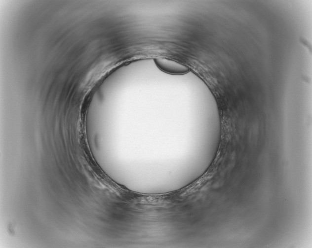 X0000098130338200805081003