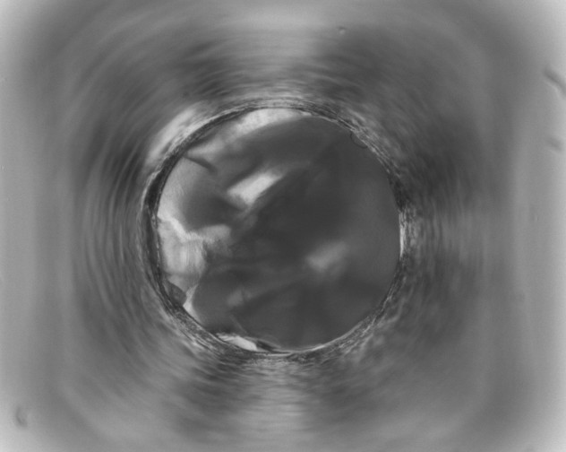 X0000098130339200805081003