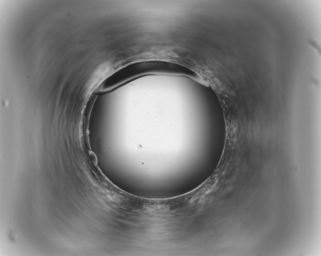 X0000098130340200805081003