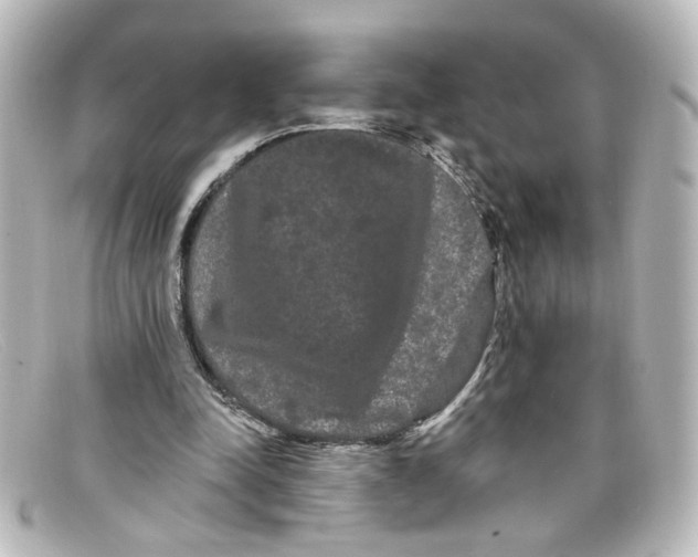 X0000098130342200805081003