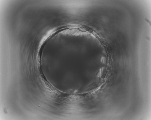 X0000098130343200805081003