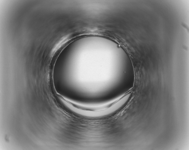 X0000098130344200805081003