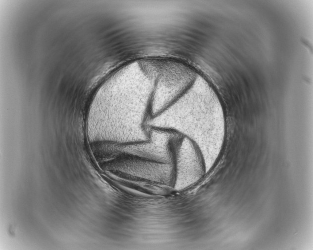X0000098130345200805081003