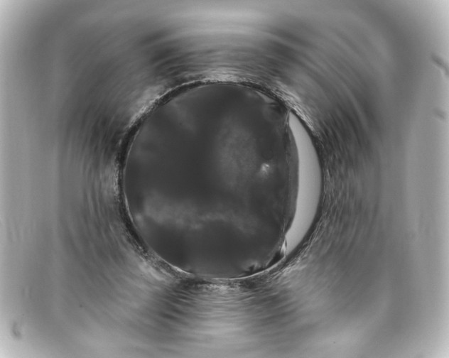 X0000098130347200805081003