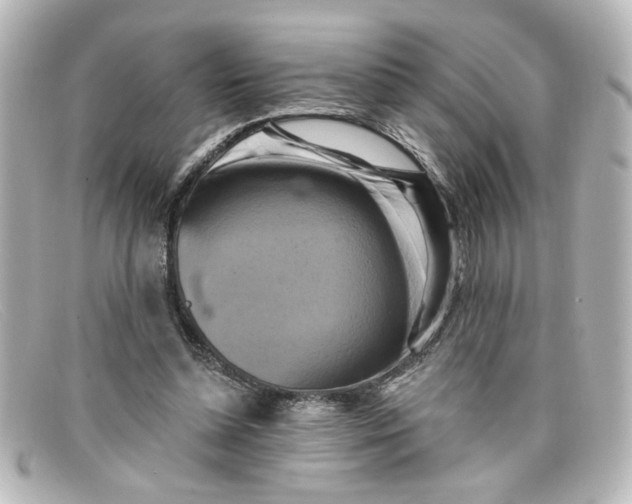 X0000098130348200805081003