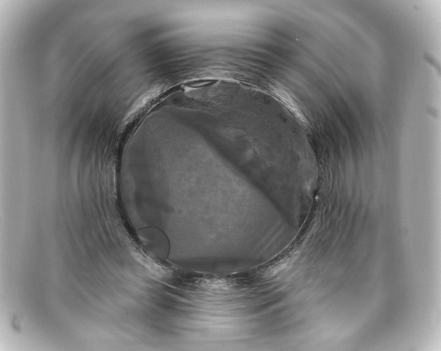 X0000098130349200805081003
