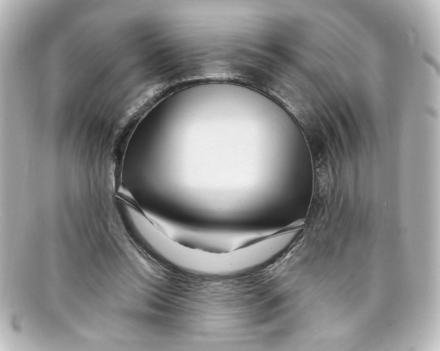 X0000098130350200805081003