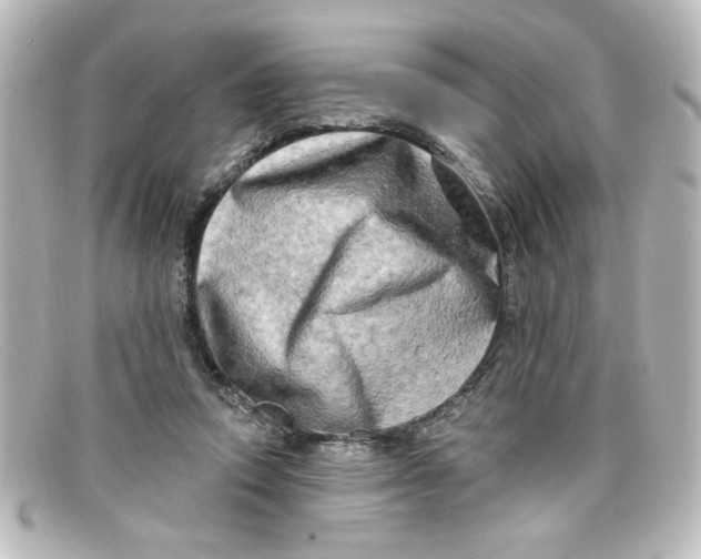 X0000098130354200805081003