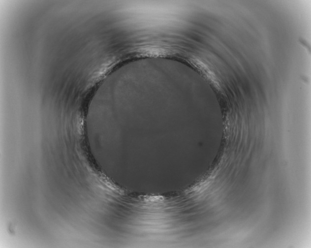 X0000098130355200805081003