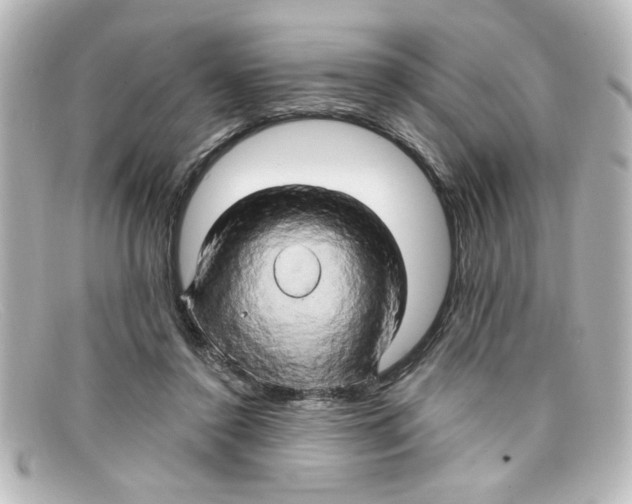 X0000098130356200805081003