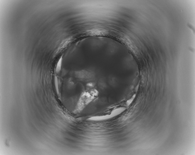 X0000098130357200805081003