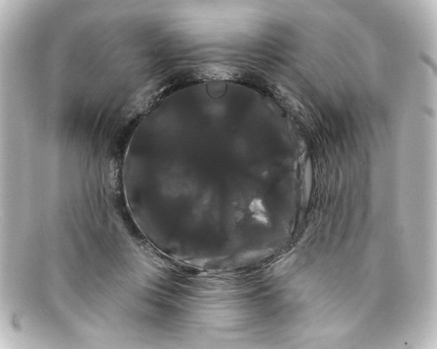 X0000098130359200805081003