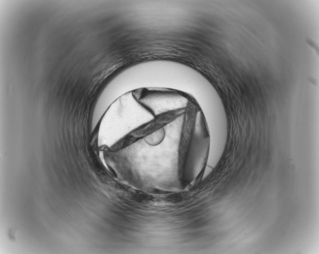 X0000098130360200805081003