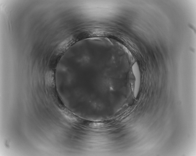 X0000098130361200805081003