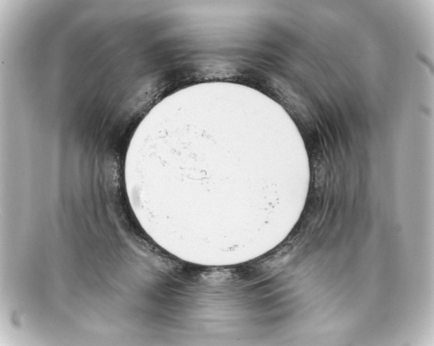 X0000098130362200805081003