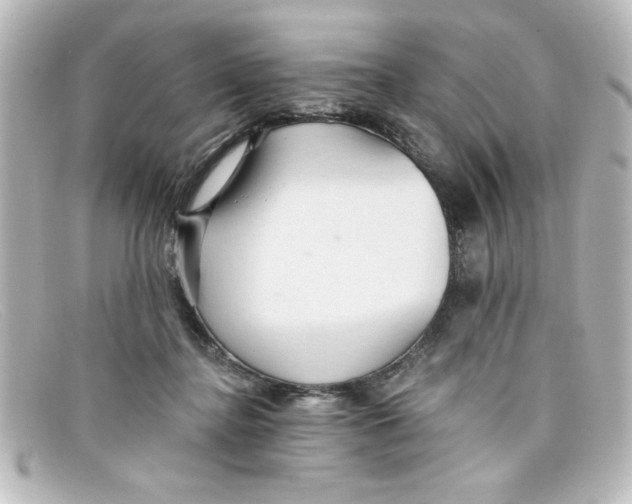 X0000098130364200805081003