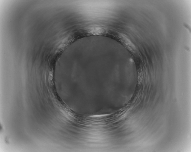 X0000098130365200805081003
