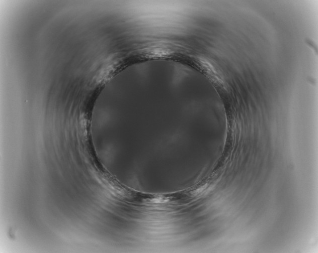 X0000098130366200805081003