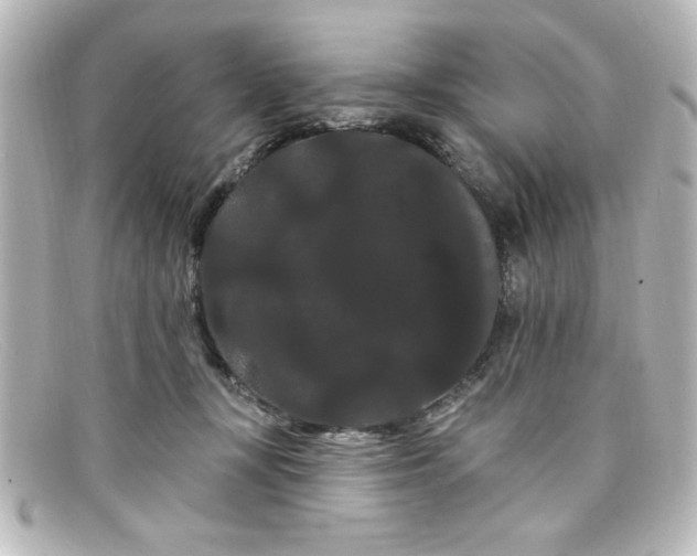 X0000098130367200805081003